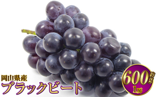 岡山県産 ブラックビート 約600g（1房）【2025年8月上旬～9月上旬発送予定】 ぶどう ブドウ 葡萄