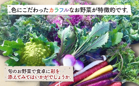 旬の野菜セット6品 落花生 セット 野菜 野菜セット 野菜詰め合わせ 詰め合わせ やさい 千葉市 千葉県