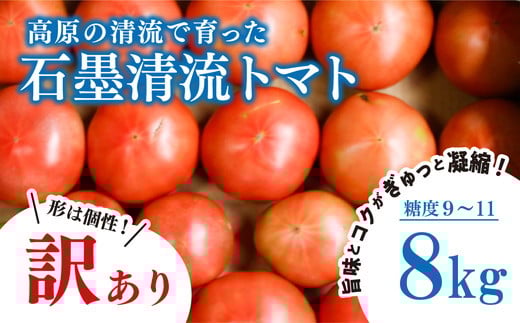 
            訳あり トマト 8kg そのままでも 美味しい 【石墨清流トマト】糖度9～11度 久万高原町 トマトソース｜トマト とまと 自然栽培 野菜 カレー トマトソース 濃縮 ヒナタ 安心 酸味 甘味 清流 料理 農家 トマト農家 旨み サンドイッチ サンドウィッチ 新鮮 煮込み 煮込み料理 アレンジ 美味しい 手作業 人気 ギフト プレゼント 自然 小長谷勝也 愛媛 久万高原町 ※離島への配送不可 ※2025年7月下旬頃より順次発送予定
          