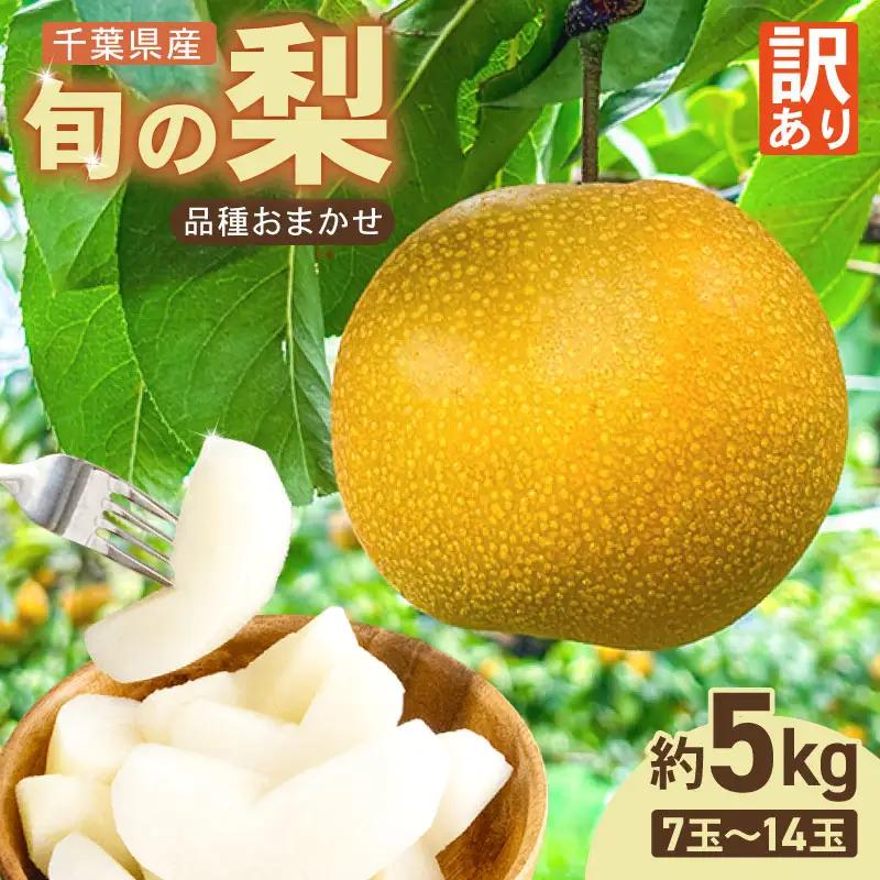 梨 訳あり 品種おまかせ梨 約5kg