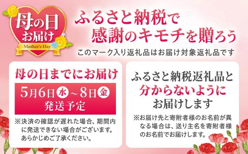 黒毛和牛【母の日までにお届け】黒毛和牛 焼肉 3種 畜産農家応援！ ハンバーグ 焼き肉