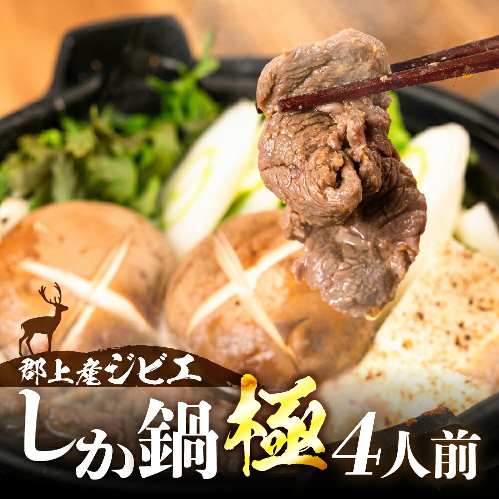 【ふるさと納税】郡上ジビエ しか鍋 極 (250g×2パック） / 食品 精肉 鹿 しか 鍋 酒 野菜 と一緒に セット ジビエ 味噌 お楽しみ 郡上市 17000円