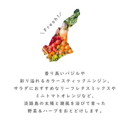 ふるさと納税 淡路市 【定期便】彩り野菜と香るハーブセット　3回お届け野菜セット　ah11804 |  | 01