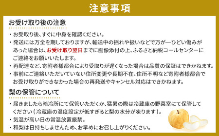 【松崎果樹園】梨「幸水」約5kg（10～12玉入）【旬のフルーツ、果物、旬の梨、新鮮梨、幸水梨】
