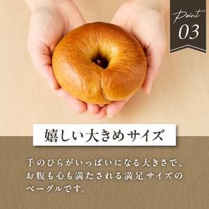 国産小麦＆自家培養酵母100％　酵母ベーグル10個 ベーグルセット プレーン ベーグルパン パンベーグル もちもちベーグル  酵母 ベーグル 065-09