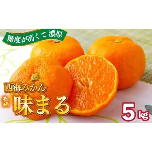 【 早期受付 】西海みかん 味まる 5kg 糖度12度以上 ブランドみかん 佐世保 【 11月発送 】