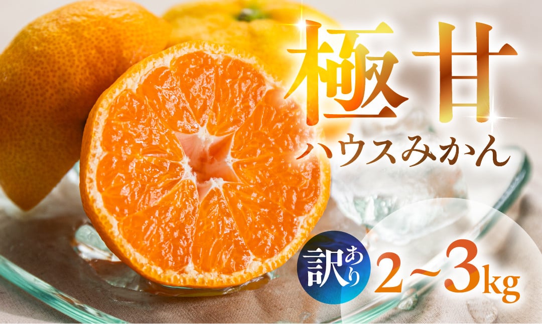 
                  ≪先行予約≫ 超濃厚 ハウスみかん『蜜ツ星』 家庭用 2kg ~ 3kg 選べる みかん 高級 高糖度 自家用 贅沢 蜜柑 ミカン 果物 柑橘 フルーツ 季節限定 濃厚 サイズ バラ おまかせ 訳あり 詰め合わせ あとから選べる 内容量 秀品 優品 混合品 豊橋 12000円　マルカワ園芸
                