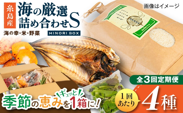 
            【全3回定期便】糸島産 魚 米 野菜 果物 厳選詰め合わせ MINORI BOX Sサイズ 糸島市 / emma.Inc / 米 魚 野菜 詰め合わせ [AOP020]
          
