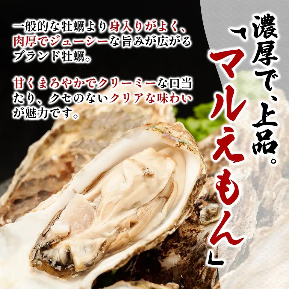 北海道 厚岸産 ブランド牡蠣 マルえもん 殻付き 牡蠣 Lサイズ 14個 【光輝】 [ 魚貝類 生牡蠣 海鮮 海の幸 生食用牡蠣 生食用 生食用殻付き牡蠣 濃厚 甘み  オイスター ]  