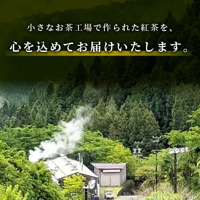 何も加えてない・ピュアな紅茶★無農薬 田峯紅茶 5袋セット 紅茶 ホット アイス アイスティー 茶 -022