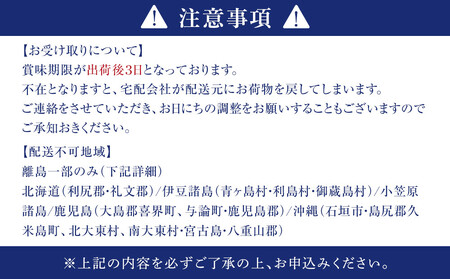 島田水産　Shimada　Oyster　生かき500ｇ（加熱用）