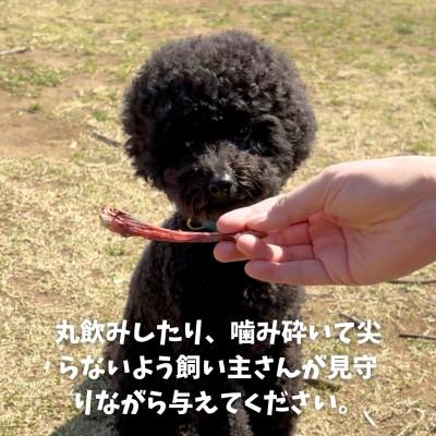 ふるさと納税 南アルプス市 南アルプスの天然鹿肋ジャーキーセット ワンちゃんの贅沢おやつ【肋(大)50g×2袋セット】 |  | 02