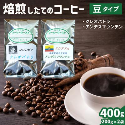ふるさと納税 伊勢原市 コーヒー豆2袋(クレオパトラ/アンデスマウンテン)