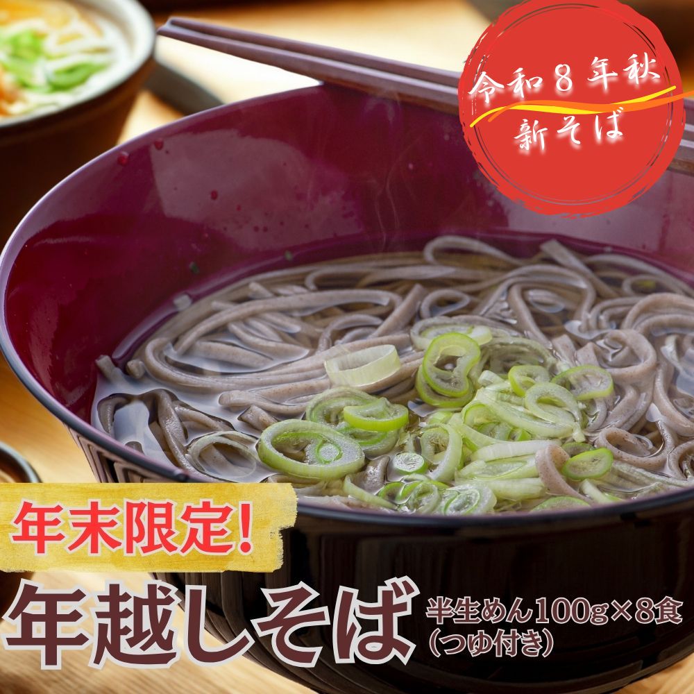 【ふるさと納税】年越しそば 用 R8秋 新そば 豊後高田そば（100g×8食・つゆ付） 12/17~28配送 年末 年内配送 なまそば 乾麺 年越し 送料無料 年内発送
