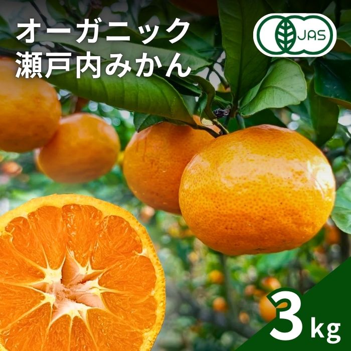 【ふるさと納税】今期分出荷開始 中原観光農園 オーガニックみかん 3kg (30~40個程度) 国産 有機JAS認証 瀬戸内 広島 大崎上島 離島 有機栽培 柑橘 果物 オーガニック フルーツ ギフト 防腐剤不使用 ワックス不使用 無添加 安全 安心 送料無料 産地直送
