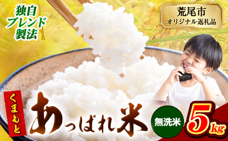  熊本県産 くまもとあっぱれ米 5kg  熊本県産 ふるさと納税 無洗米 精米 米 こめ ふるさとのうぜい コメ お米 おこめ《12月中旬-2月末頃出荷》