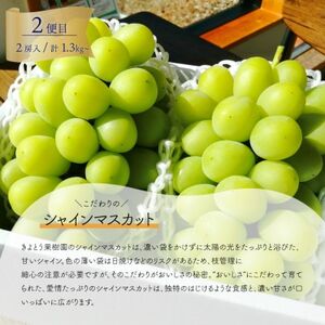 【発送月固定定期便】【きよとうファーム】大きな藤稔とシャインマスカットの満足2回便!全2回【配送不可地域：離島】【4066248】