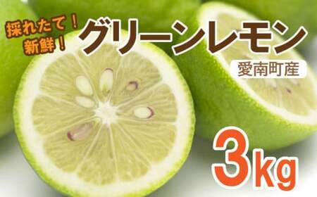 レモン （ グリーンレモン ） 3kg れもん 檸檬 フルーツ 果物 くだもの 贈答 ギフト 防腐剤 不使用 レモンサワー レモン果汁 炭酸水 ビタミンC クエン酸 疲労 回復 ストレス 解消 免疫力 向上 大容量 国産 産直 皮ごと 丸ごと レモン 愛媛県 愛南町 ※発送期間：2024年10月10日～2024年12月下旬