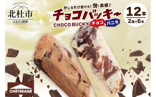 【シャトレーゼ】【先行予約】チョコバッキーバニラ＆チョコ詰合せ12本入　アイスクリーム スイーツ アイス セット 人気 15000円 以内