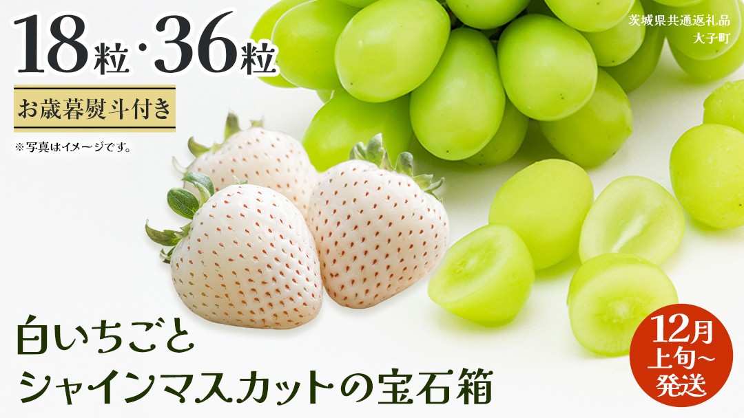 
            《 選べる 内容量 》【 お歳暮 熨斗付き 】 白いちご と シャインマスカット の宝石箱18粒 / 36粒【2025年12月上旬発送開始】(茨城県共通返礼品：大子町) いちご マスカット 果物 フルーツ 旬 季節限定 期間限定 贈答用 ギフト 贈り物
          