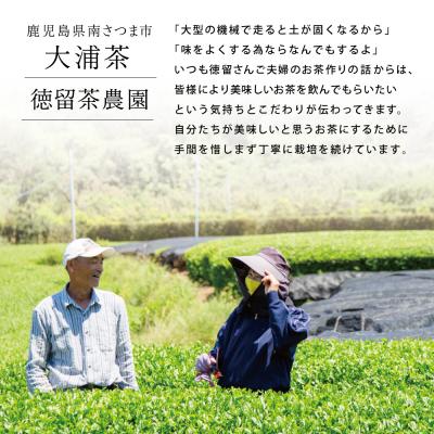 ふるさと納税 南さつま市 鹿児島県産緑茶 大浦茶 一番茶 3本セット(100g×3) [贈答用] |  | 01