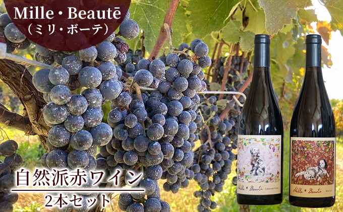 Mille・Beauté (ミリ・ボーテ）無添加 無濾過 赤ワイン 2本セット お酒 晩酌 家飲み 宅飲み 飲み比べ ワイン飲み比べ 自生酵母 6か月間熟成 香り豊か 深い味わい 香り 果実味 