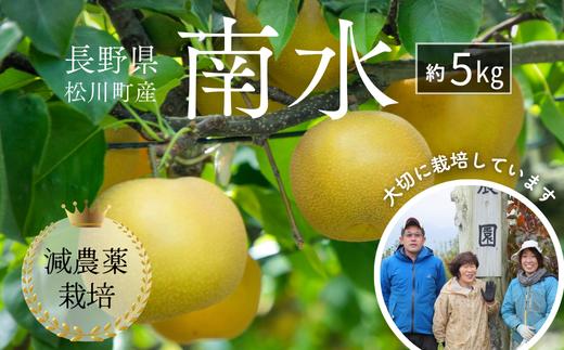YN09-26A 【先行予約】梨 南水 約5kg 減農薬栽培 秀品／2026年9月中旬頃から配送予定 // 梨 ナシ なし 南水 減農薬栽培 農家直送 農家支援 長野県 松川町産