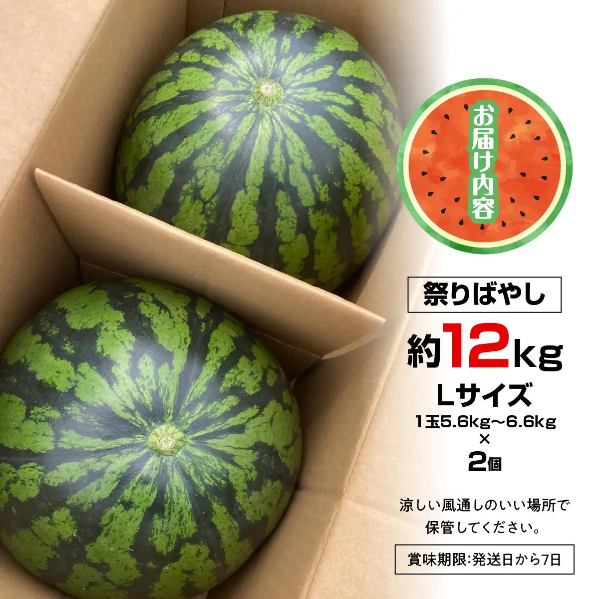 【先行予約・2027年6月上旬～発送】千葉県山武市産の大玉スイカ約12㎏（Ｌサイズ２個セット）SMDA001