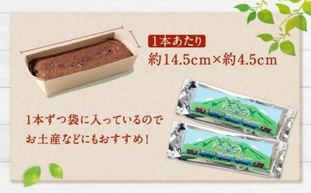 南阿蘇鉄道 トロッコショコラ 10本（約145g×10本）【2026年5月発送】菓子 お菓子 焼き菓子 チョコ風味 ショコラ ガトーショコラ 個包装 小分け