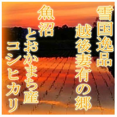 ふるさと納税 十日町市 【令和7年産　先行受付】【雪国逸品10Kg】 越後妻有の郷 魚沼十日町産コシヒカリ(精米) |  | 03