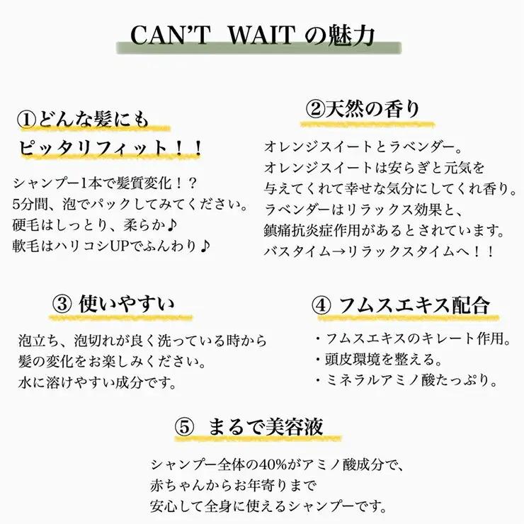 キャントウェイトシャンプー(300ml)【ヘアケア ボリューム ツヤ髪 ダメージケア　頭皮 ボディーソープ 美髪ケア 頭皮ケア オールインワンシャンプー ギフト 誕生日 プレゼント サロン級のヘアケア