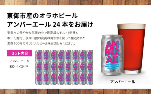 アンバーエール24本 クラフトビール