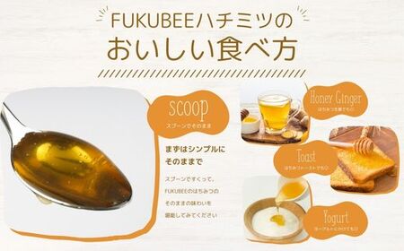 国産天然はちみつ FUKUBEE ハニーボトル 200ml 2本セット 蜂の幸せを考える養蜂家【蜂蜜 はちみつ ハチミツ 百花蜜 非加熱 ストレスフリー 養蜂 レンゲ アカシア 桜 フジ 花 ミツバチ