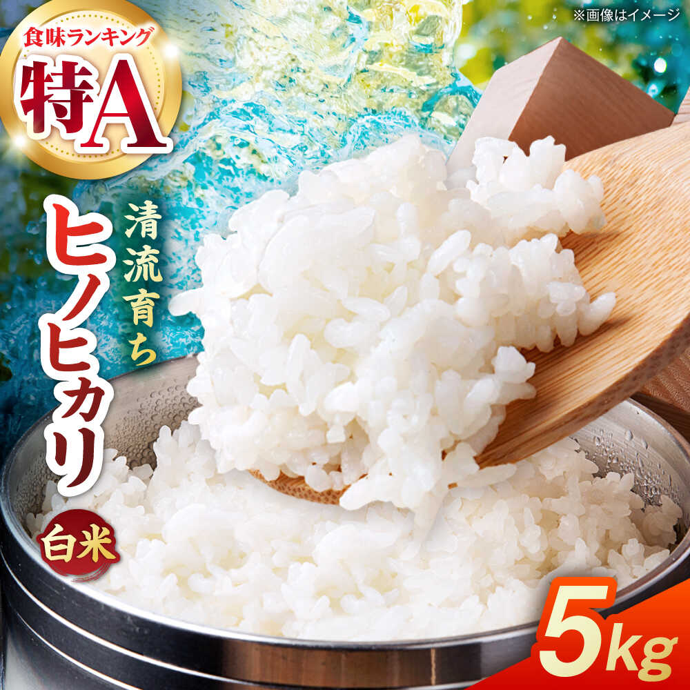 【ふるさと納税】【先行予約】 令和8年度産 ヒノヒカリ 白米 5kg 【奥村果実園】[ZFK009]
