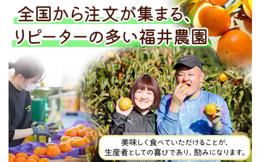 《 訳あり 》令和7年産 富有柿 ご家庭用 3kg M,L,2Lサイズ 福井農園 [11月～12月に発送予定] 先行予約 富有柿 ふゆうがき かき フルーツ 柿 かき 規格外 わけあり 不揃い ふぞろ