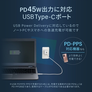 充電器【Owltech】 ホワイト OWL-APD45C1A1G-WH