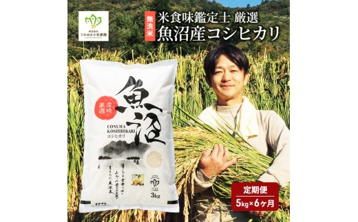 
                  無洗米 定期便 6ヶ月 コシヒカリ 5kg 米 白米 お米 魚沼産コシヒカリ 米食味鑑定士 新潟米 新潟 魚沼市 定期 6回
                