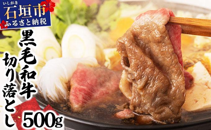 石垣島産経産黒毛和牛 1頭切り落とし 500g E-052