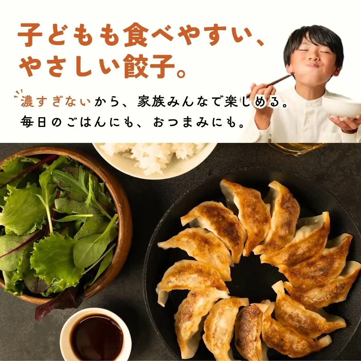 冷凍生餃子 135個 〈野菜たっぷり手作り〉〈丹波市産〉 餃子 加工食品