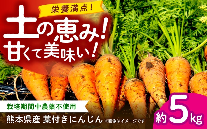 
                  【先行予約】葉付きにんじん 約5kg 天日塩＆発酵土壌で作ったこだわりの人参 【株式会社 夢アグリ】 [ZCL021]
                