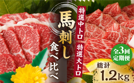 【3回定期便】特選霜降り馬刺し 中トロ大トロ2種食べ比べセット 計400g（各2pc）＋タレ大【馬刺しの郷 民守】2種馬刺しセット 中トロ 大トロ 熊本 特選 タレ付き  [ZBL051]