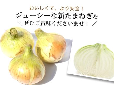 【大玉10㎏】兵庫県認証★特別栽培★淡路島新たまねぎ