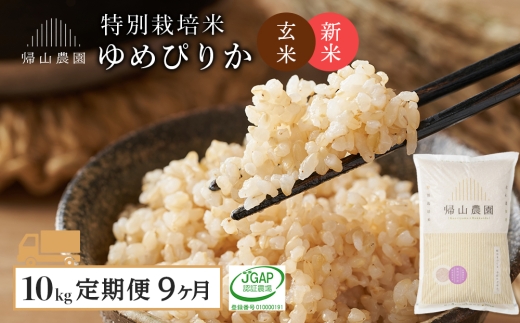 【新米予約】【9カ月定期便】特別栽培米産地直送「玄米ゆめぴりか 10kg」《帰山農園》