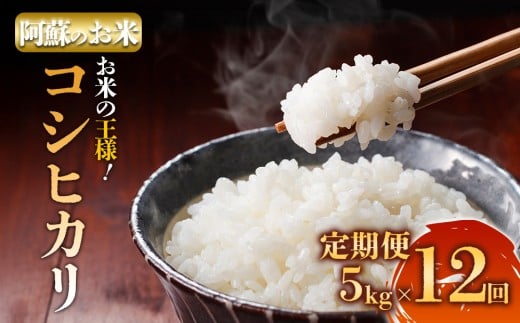 【選べる回数】【定期便12回】 R7年産コシヒカリ 5kg プロ厳選の産地直送米  精米 白米  ふるさと納税 おすすめ 阿蘇米 阿蘇のお米 ご飯 ごはん 美味しい 寒暖差 湧き水 お取り寄せ 食卓 豪華 贅沢 自然 湧水 熊本県 阿蘇市