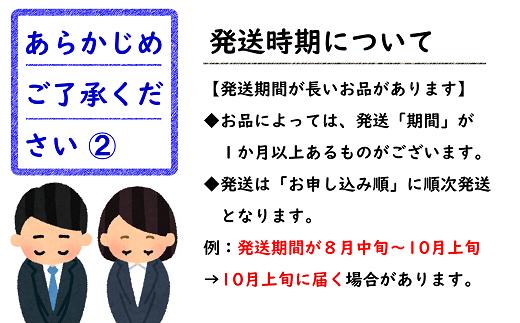 【令和6年産先行予約】 《定期便6回》 フルーツ満喫定期便B