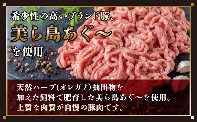 【美ら島あぐ～】冷凍ハンバーグ（12個入り）