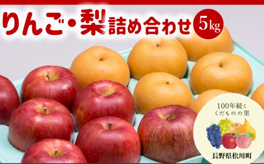 AS04 りんご・梨 詰め合わせ  シナノスイート・南水（松川町産）秀品 約5kg ／2026年10月上旬～10月中旬頃 配送予定 // 長野県 オリジナル品種 松川町 甘い 新鮮 りんご スイート 梨 南水 詰合せ 贈答 食べ比べ