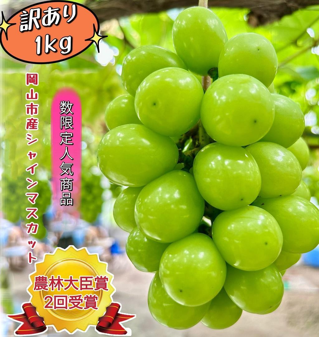 
            ぶどう 2025年 先行予約 訳あり シャインマスカット 約1kg  岡山 国産 果物 フルーツ シャイン マスカット 2025年7月中旬から発送
          