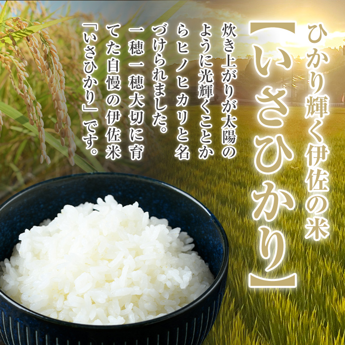 A7-03 いさひかり(5kg×2袋・計10kg) 一穂一穂大切に育てた自慢の伊佐産ヒノヒカリ お米 米 白米 精米 伊佐米 ご飯 ヒノヒカリ【JA北さつま】