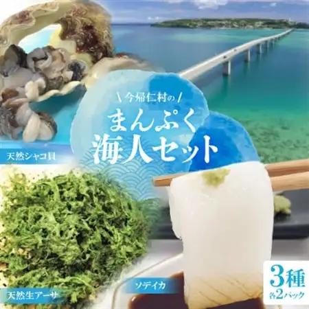 まんぷく海人セット(天然シャコ貝、天然生アーサ、ソデイカ)×各種2パック【配送不可地域：離島】【1483970】